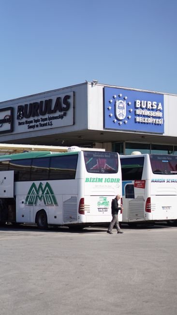 Honor King Long Starbus - Urgent Sale
