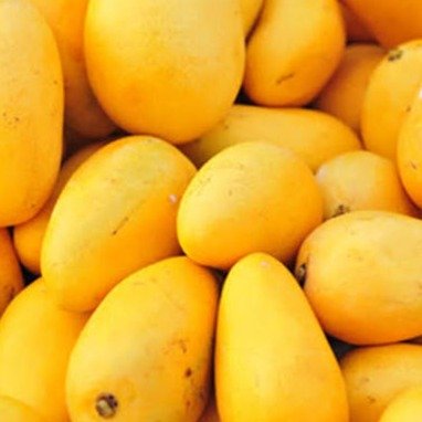 Premium Fresh Mangoes – 1 kg