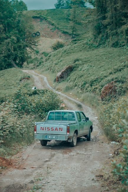 Nissan Sunny - Sedan (Like New)
